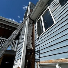 Cedar-siding-coatingpainting-and-repairs 3